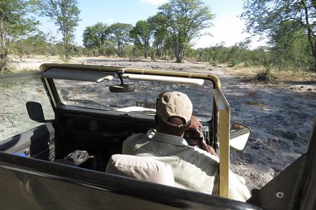 3 Day Wilderness Trail: Moremi, Khwai & East Okavango Delta - WildCamping Safari