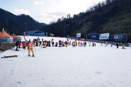 Nami Island + Ski Tour 