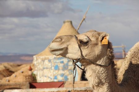 3 Days Trip: Valleys of Southeast Morocco & Erg Chebbi From Marrakech