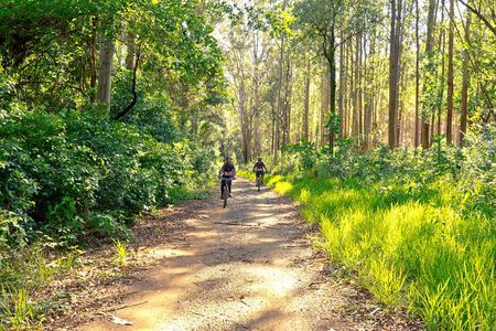 The Train Track Trail Mountain Bike Ride - Private experience