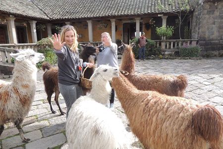 Cotopaxi National Park and Inca Ruins Day Trip