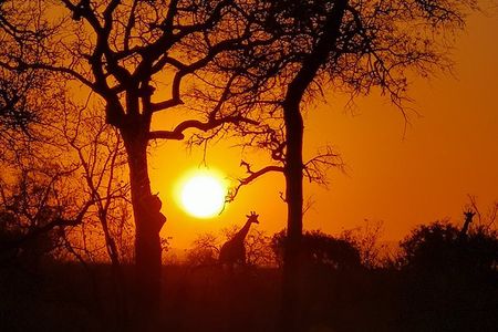Kruger National Park - Sunset Safari trip.