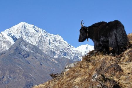  Pikey Peak Trek Everest View