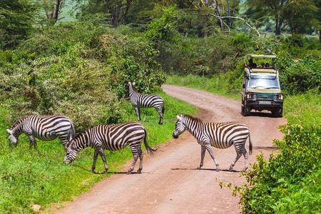 Tarangire National Park