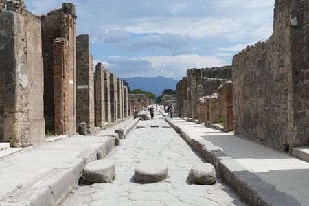 Pompeii and Naples Half-Day Guided Tour from Naples+Skip-the-Line