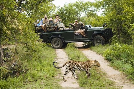 Durban: Big 5 Luxury Safari at an Award Winning Game Reserve — Zeiss Binoculars