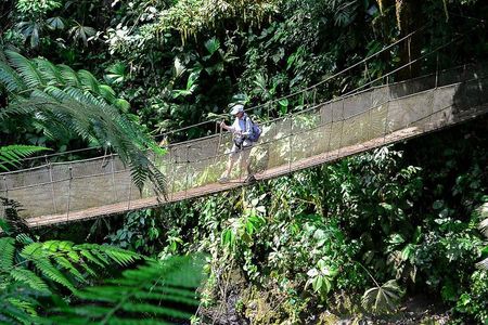 Rainmaker Waterfalls and Hanging Bridges from Manuel Antonio