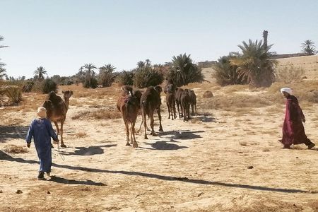 11 Days 10 Nights Ouzoud_Marrakech_Desert_Fez_Chouen_Casablanca