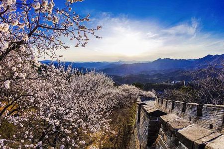 Beijing:Mutianyu Great Wall Daily Tour with Ticket & Lunch