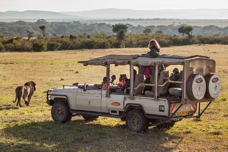 Cape Town 2-Days Overnight Aquilla Safari game Reserve 