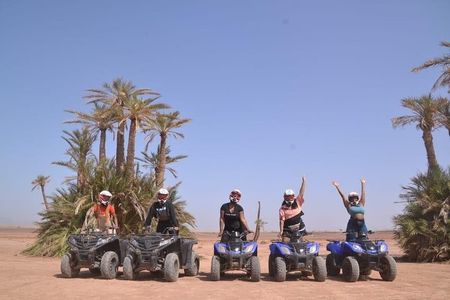 Enjoy a thrilling camel ride through the Palm Grove of Marrakech