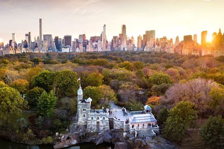 Private Central Park Walking Guided Tour 