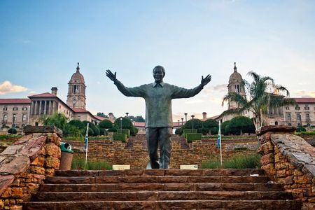Pretoria and Lion Park Safari Experience