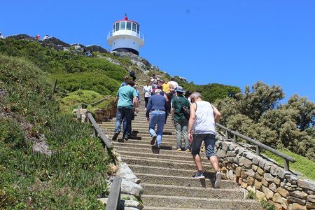 Private Day Tour to Cape of Good Hope Penguins Inc Entry Tickets from Cape Town