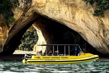 2 Hour Cathedral Cove and Volcanic Coast Cruise with Shade Canopy