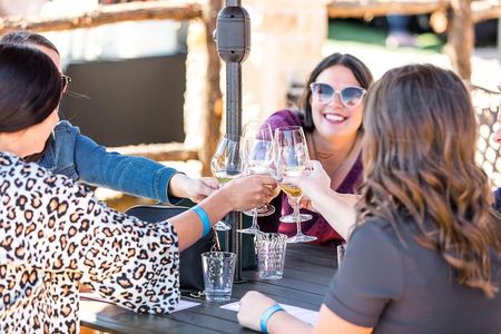 North Texas Wineries & Vineyards Tour & Tastings-6 person minimum