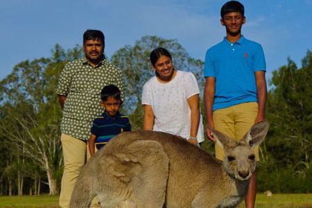 Kangaroos & Koalas in the Wild - Private Nature Experience