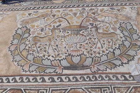 Full-Day Private Tour to Ohrid and Bitola from Skopje