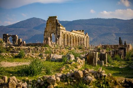 Meknes and Volubilis Full-Day Tour from Fez