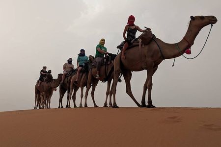 Shared Group Luxury 2-Days Desert Trip from Fes to fes
