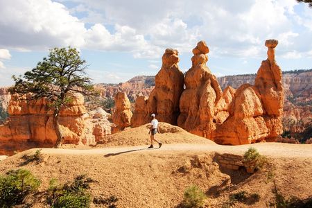 Bryce Canyon & Zion National Parks from Vegas, Lunch, Free WiFi