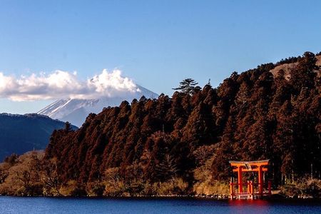 Private Hakone Tour - View of Mt. Fuji, Nature and Culture
