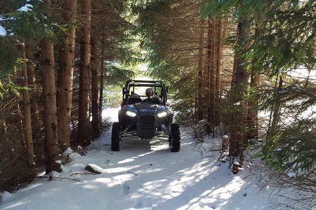 2 Hour Private Superb Buggy Adventure