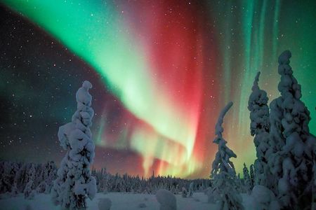 Auroras - Northern Lights Tours by Aurora Experts - Rovaniemi