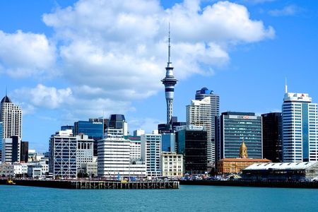 Auckland City & Native Forest Experience - Fully Guided Day Tour