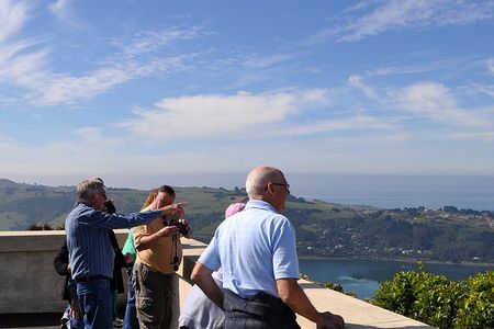 Iconic Shore Excursion: Dunedin City Highlights Tour