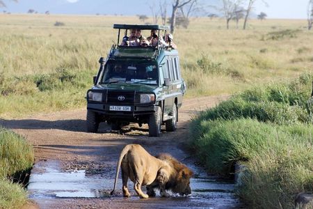 3-Day Masai Mara Luxury Safari on 4x4 Land Cruiser