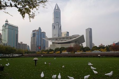 Full-Day Private Guided Tour in Shanghai with Hotel Pick Up