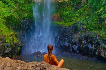Private Rainforest & Wildlife Tour - Build Your Own Experience