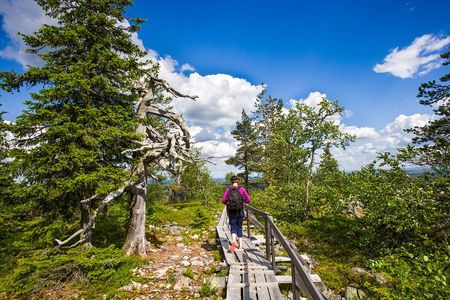 Day Trip to Korouoma Canyon from Rovaniemi