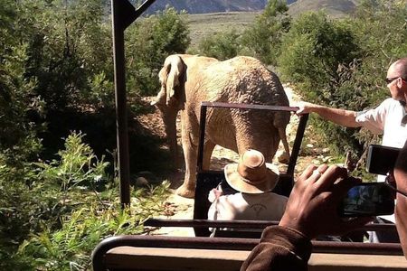3-Day Kruger National Park Private Safari from Johannesburg