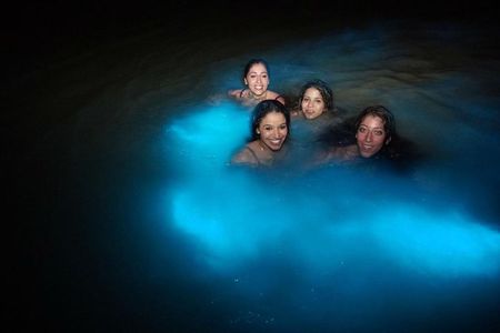 Luminous Lagoon (Glistening Waters )Night Tour with Pickup