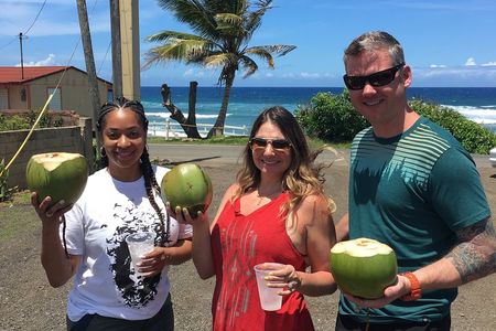 North West Adventure Puerto Rico