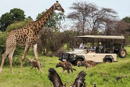 Cape town private - The Best of Big five safari 