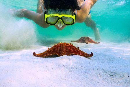 Private Stingray City and Snorkeling Half Day Charter for 6 Guest