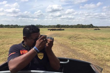 Yala National Park Full-Day Jeep Safari with Lunch