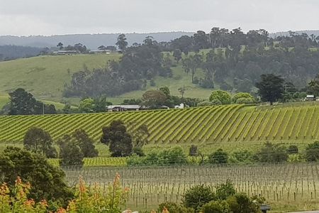 Yarra Valley Wine Tasting Day Tour from Melbourne