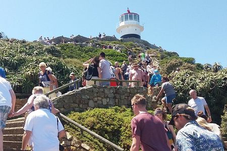 Shared Tour to Cape of Good Hope Penguins Chapman's Peak From Cape Town Full Day