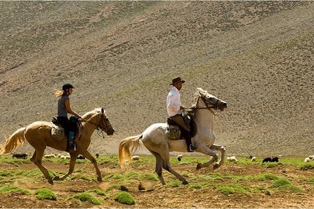  Atlas Mountains Horseback Ride Day Tour From Marrakech 