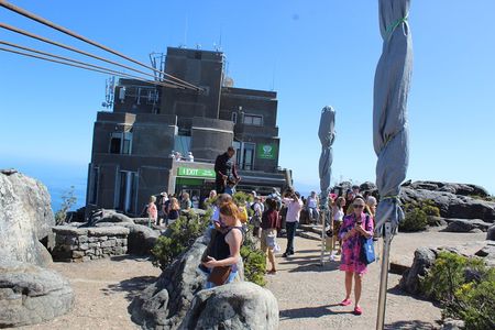 Private Visit to Robben Island Table Mountain + All Tickets F/d