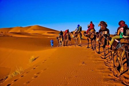 2Days Share Tour From Fes To Marrakech Via Sahara Desert Morocco