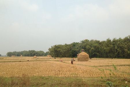5-Day Private Farming Experience in Nayapul with Accommodation