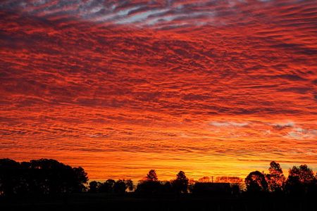 Private full-day wine tour in the Hunter Valley