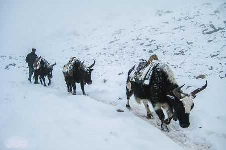 Everest Base Camp Trek