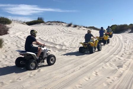 Private Cape Towns West Coastal Tour with Quad Bike