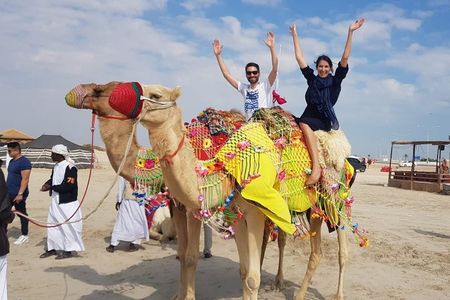 Desert Safari Adventure 4 hours from Doha with Pickup